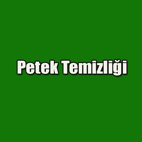 petek temizleme Gebze
